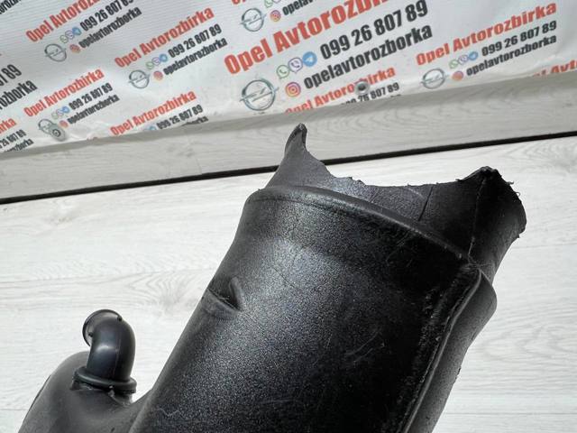 55558950 GM купить в Черновцы
