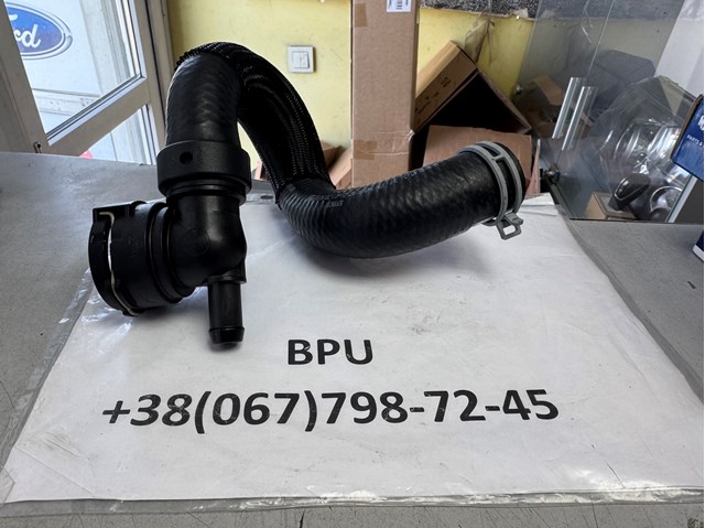 CV6Z8286M FORD Патрубок радиатора купить в Черновцы