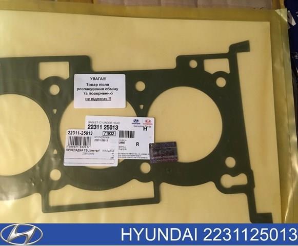2231125013 HYUNDAI Прокладка головки блока цилиндров (ГБЦ) купить в Ирпень