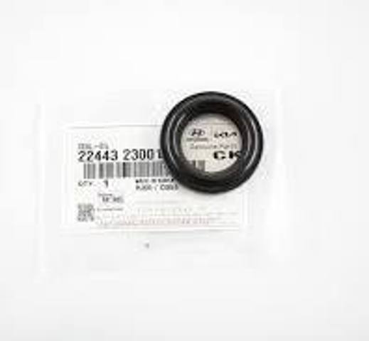 Кольцо уплотнительное свечного колодца 2244323001 HYUNDAI
