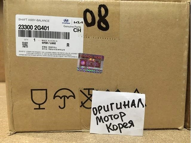 Корпус балансировочного механизма 233002G401 HYUNDAI