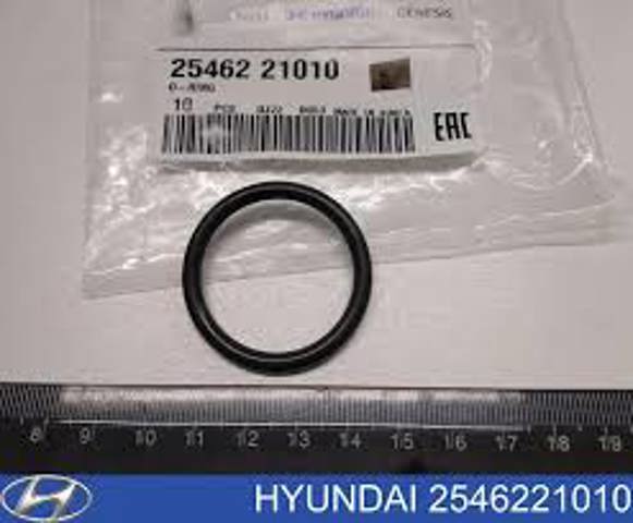 Прокладка тройника системы охлаждения 2546221010 HYUNDAI