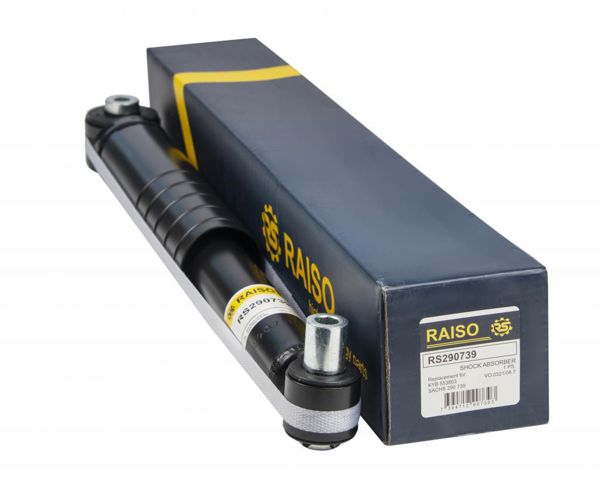 Амортизаторы задние RS290739 RAISO