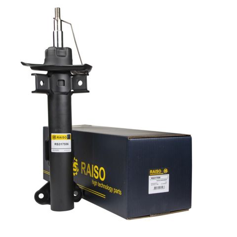 Амортизаторы передние RS317556 RAISO