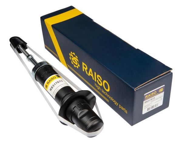 Амортизатор передней подвески RS317613 RAISO