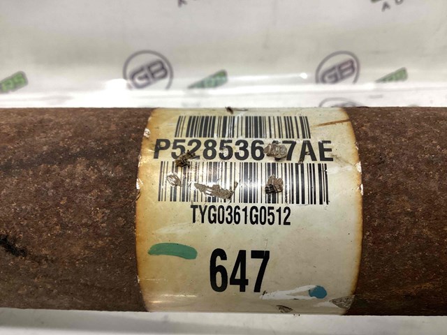 52853647AE купить Кривой Рог