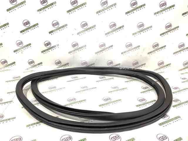 CHRYSLER 68103093AB Уплотнитель двери задней левой (на кузове) в наличии Кривой Рог