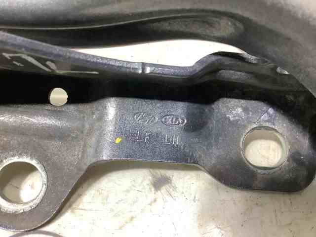 79110C2000 HYUNDAI Петля капота левая купить в Каменское