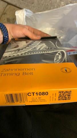 CT1080 CONTINENTAL Ремень ГРМ купить в Хмельницкий