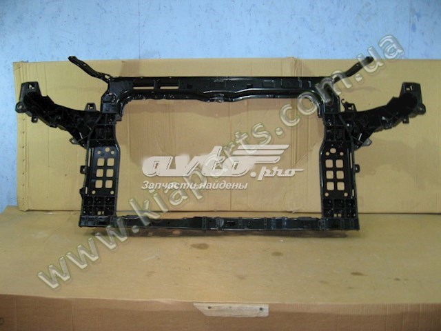 Панель передняя Hyundai/Kia 641012W100 цена, от 110.17 USD
