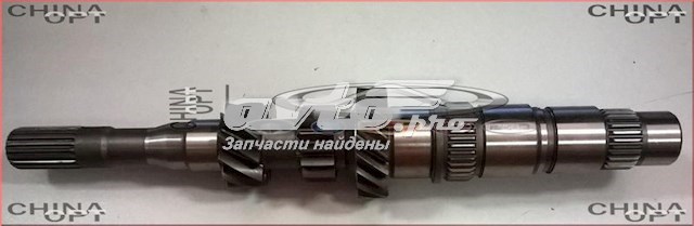  317010410101 Geely