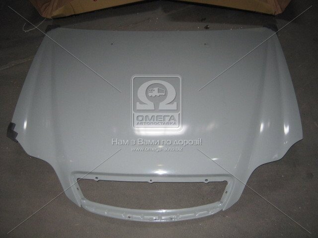 0240205280C Tempest Капот