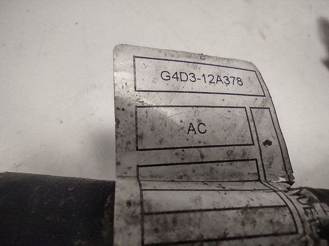  JDE38504 Jaguar