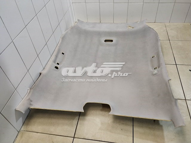 Revestimento do teto para Citroen C4 (UD)