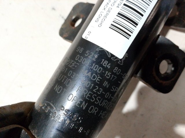 Амортизатор передний 9852218480 Peugeot/Citroen