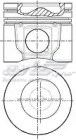 WG1268680 Wilmink Group pistão do kit para 1 cilindro, 2ª reparação ( + 0,50)