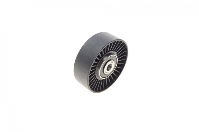 Купить 110040 Solgy Паразитный ролик