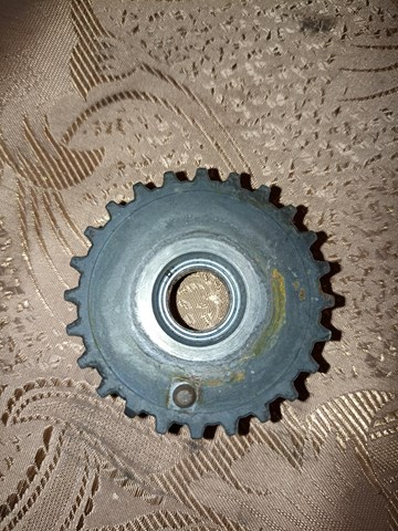Rueda dentada, cigüeñal 036105263F VAG