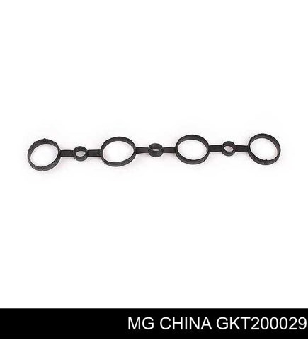 Купить GKT200029 MG 