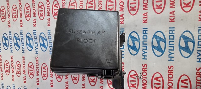 Cubierta, caja de fusibles 919502H010 HYUNDAI