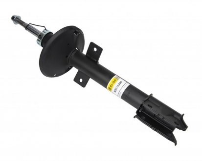 RS316290 Raiso Амортизаторы задние