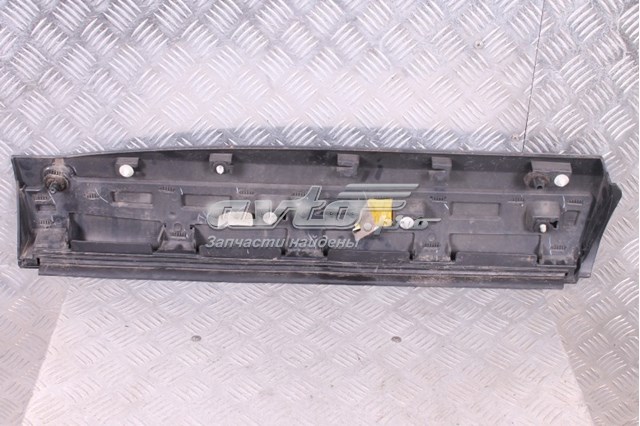  T4A13123 Jaguar
