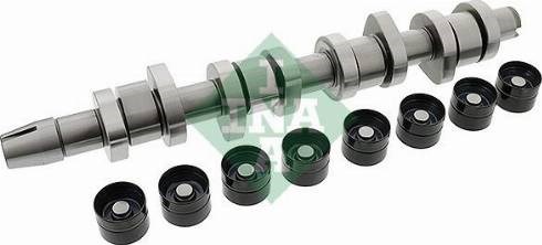 Kit árbol de levas 428004230 INA