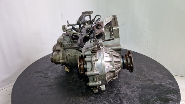 JAU VAG 