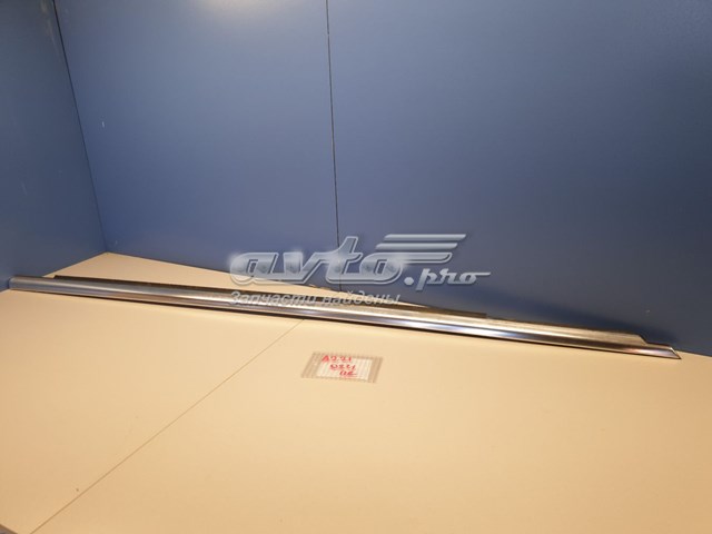 Moldura de vidro deslizante da porta dianteira direita para Mercedes S (W221)