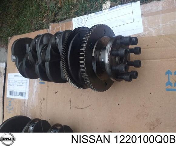 1220100Q0B Nissan 