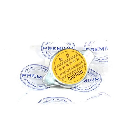 Купить 1006686600 BYD 