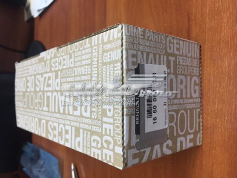 166006212R Renault (RVI) насос/форсунка