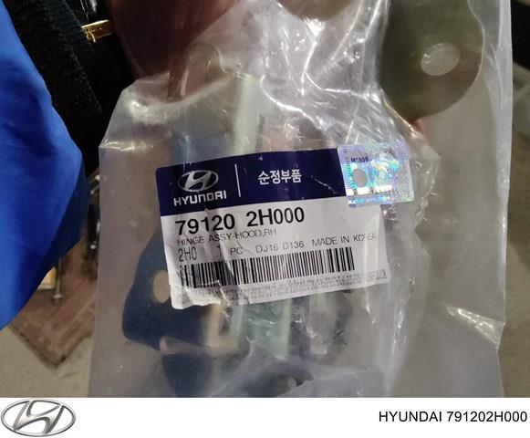 Купить 791202H000 Hyundai/Kia Завеса капота правая