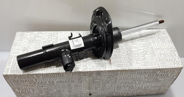 Амортизаторы передние Renault (RVI) 543024393R