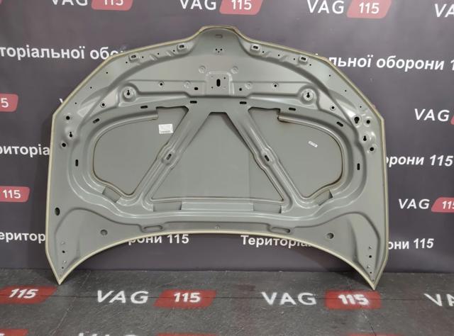 Капот 6V0823031F VAG
