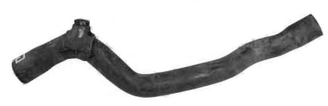 8200337313 RENAULT Tubería de radiador, retorno original y equivalente