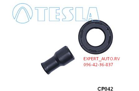 Свічковий накінечник CP042 TESLA