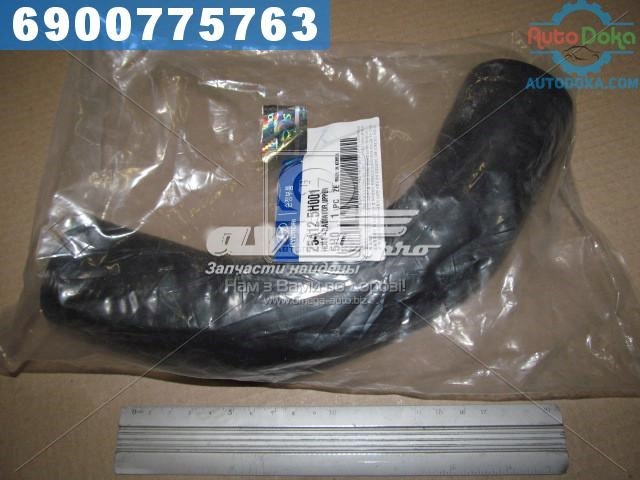 254125H001 Hyundai/Kia mangueira (cano derivado do radiador de esfriamento superior)