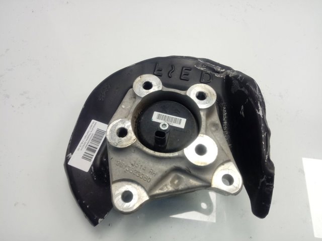 9813623480 Peugeot/Citroen 