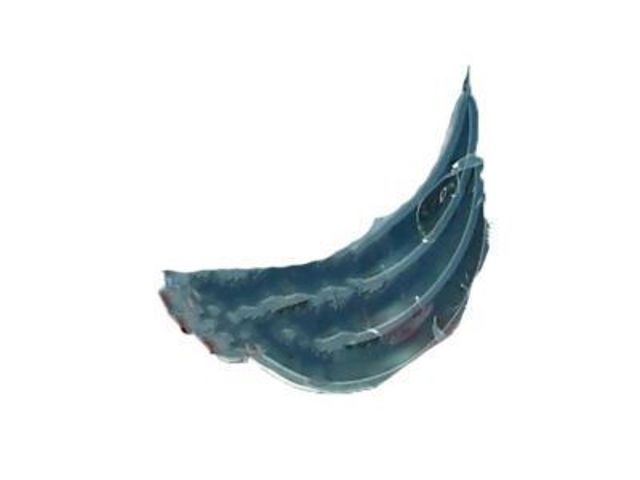 Cojinete de árbol de levas para 1 muñón, estándar 1181137010 TOYOTA