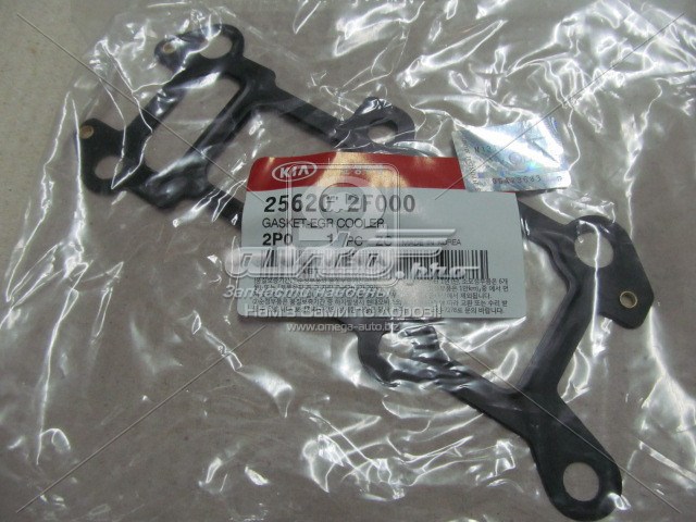  256202F000 Hyundai/Kia