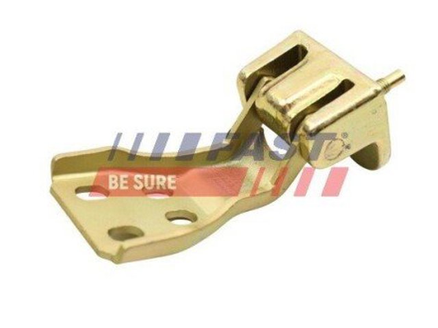 Bisagra de puerta de batientes trasera derecha inferior FT95442 FAST