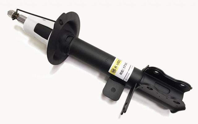 Задний правый амортизатор Raiso RS317140