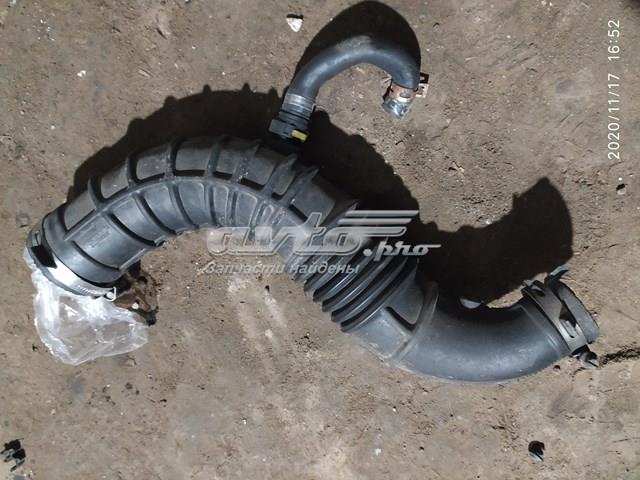 Tubo flexible de aspiración, salida del filtro de aire 8200500384 RENAULT