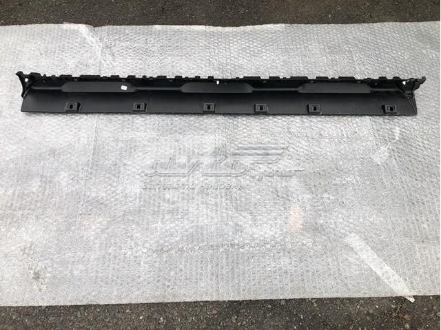 768519302R RENAULT Listón de acceso exterior izquierdo 768519302R RENAULT