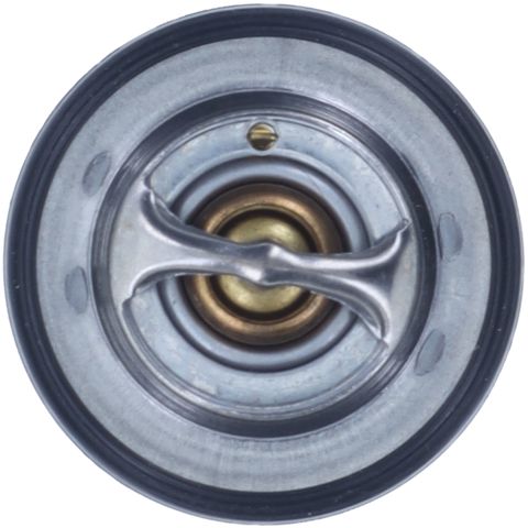  Motorad 52028898MR цена, от 19.02 USD