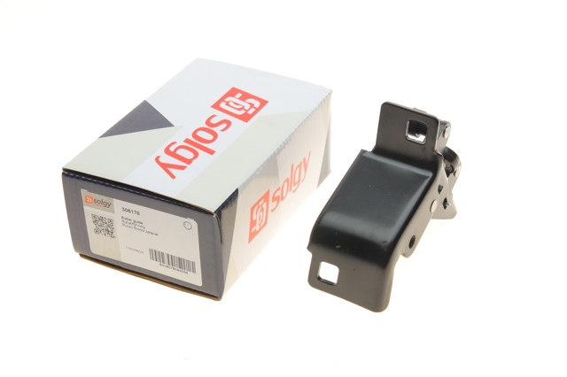Купить 306178 Solgy Ролик двери боковой (сдвижной) правый нижний