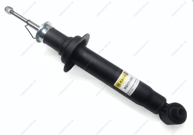 RS170822 Raiso Амортизаторы задние