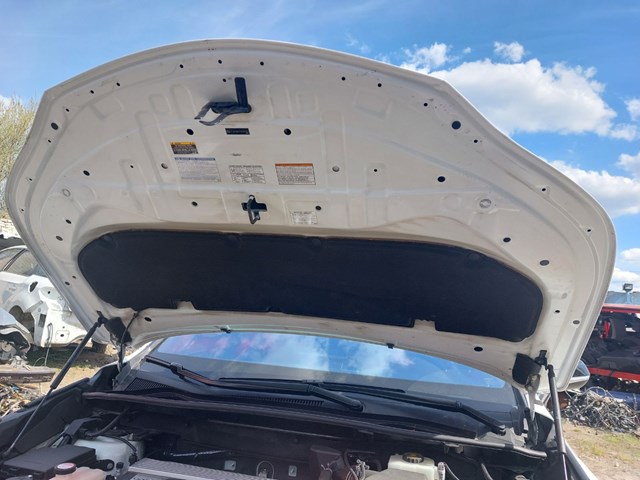 Bisagra, capó del motor 5355078010 TOYOTA