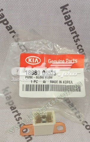  1898009625 Hyundai/Kia